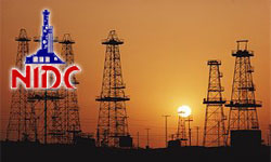 Iran’s NIDC busy buying new drilling rigs: Company MD