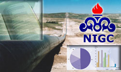 Iran targets gas imbalance reduction through efficiency measures: NIGC MD